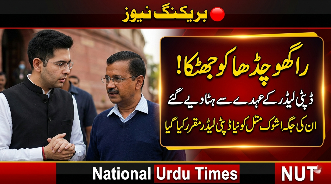 راگھو چڈھا کو بڑا سیاسی جھٹکا، راجیہ سبھا میں ڈپٹی لیڈر کے عہدے سے ہٹائے گئے